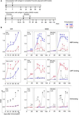 Exposure to the Epstein–Barr Viral Antigen Latent Membrane Protein 1 Induces Myelin-Reactive Antibodies In Vivo